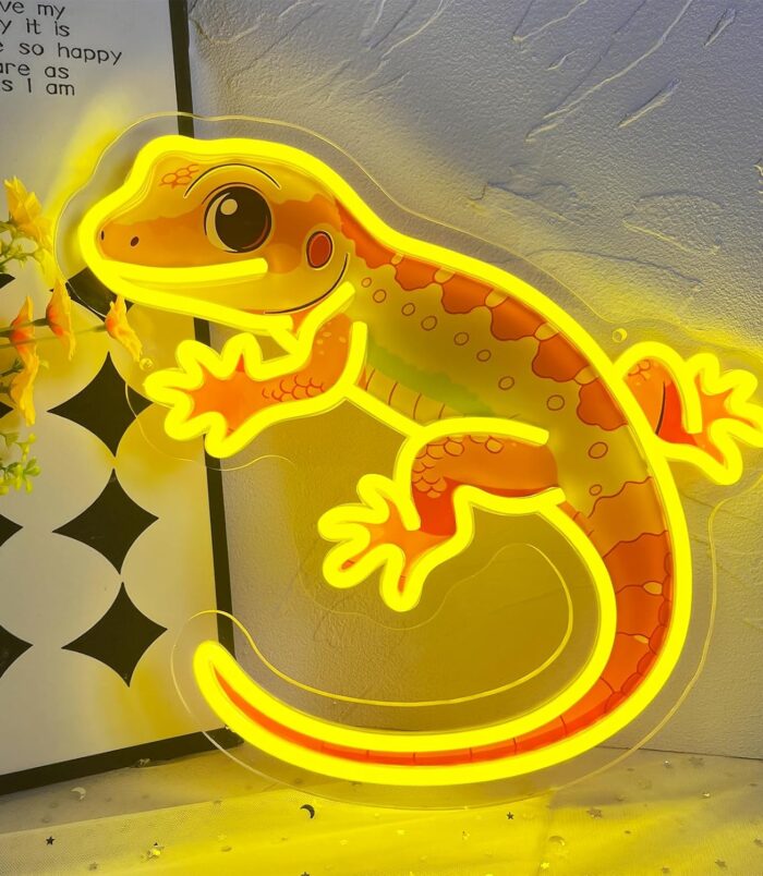 81tP1cEb+8L._AC_SL1500_
